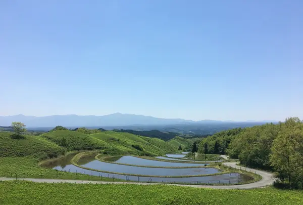 山吹水源の写真・動画_image_137686