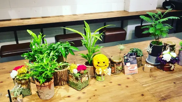 エッセンス カフェ （essence cafe）の写真・動画_image_137688