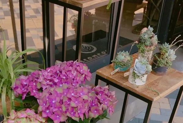 エッセンス カフェ （essence cafe）の写真・動画_image_137702