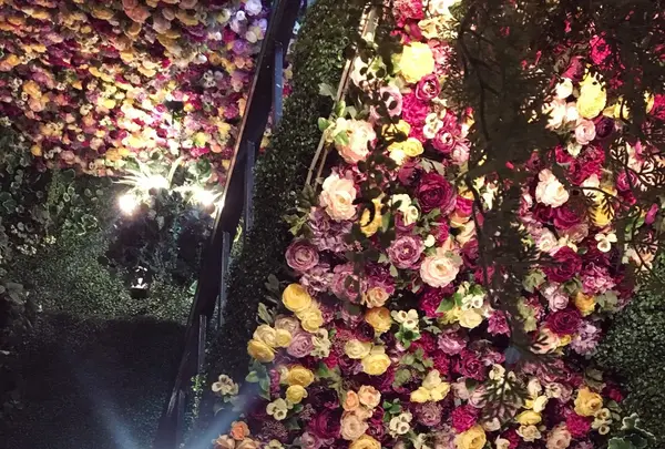 エッセンス カフェ （essence cafe）の写真・動画_image_137707