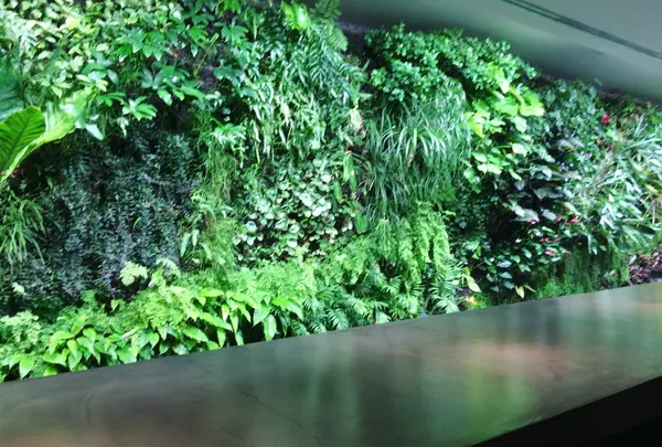 WALLの写真・動画_image_137714