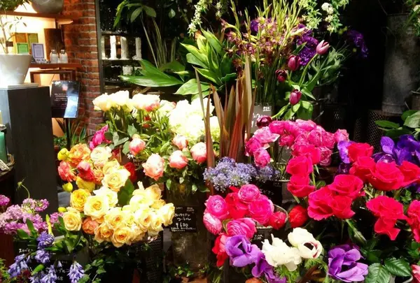 青山フラワーマーケット ティーハウス 南青山本店 （Aoyama Flower Market TEA HOUSE）の写真・動画_image_137723