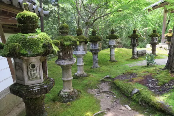 西明寺の写真・動画_image_137739