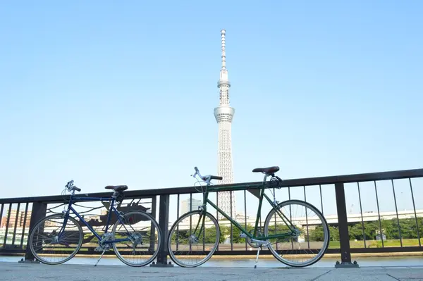 隅田川の写真・動画_image_137793
