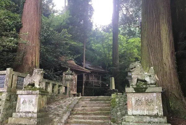 小国両神社の写真・動画_image_137978