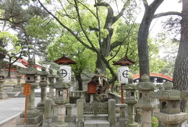 住吉大社の写真・動画_image_137991