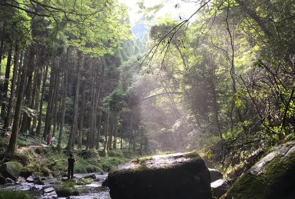 鍋ヶ滝の写真・動画_image_138150