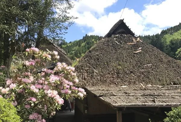 鹿鳴庵の写真・動画_image_138233