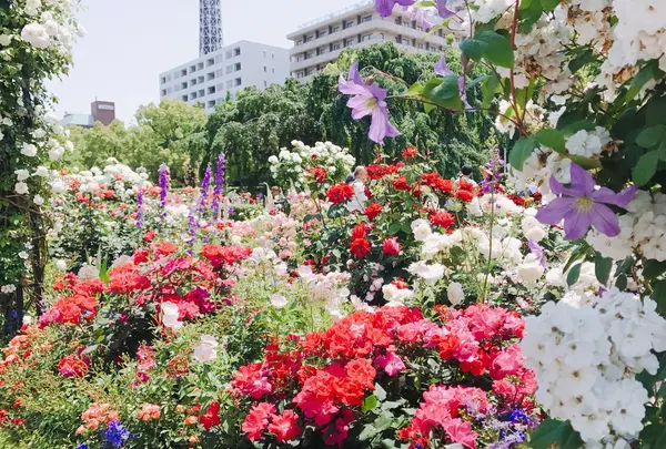 山下公園の写真・動画_image_138322