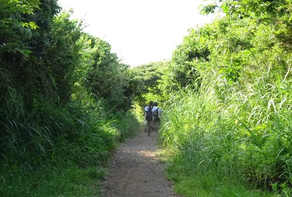 城ケ島の写真・動画_image_138330