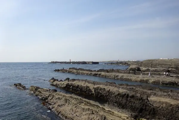 城ケ島の写真・動画_image_138333