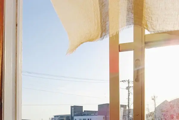 雀家の写真・動画_image_138338