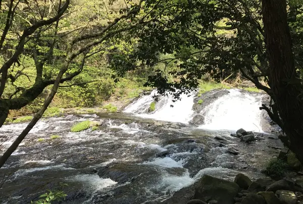 立岩水源 そうめん流しハウスの写真・動画_image_138407