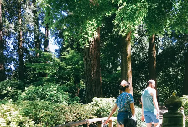 Portland Japanese Gardenの写真・動画_image_138523