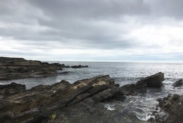 城ケ島の写真・動画_image_138881