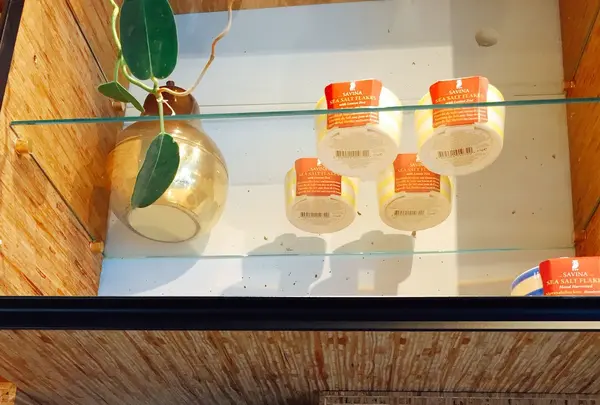 & CHEESE STANDの写真・動画_image_139016