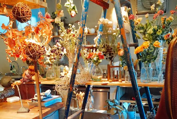 ピボワンヌ （pivoine） の写真・動画_image_139031