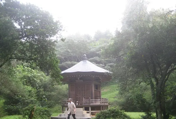 幣立神宮（幣立神社）の写真・動画_image_139080