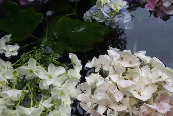 成就院の写真・動画_image_139175