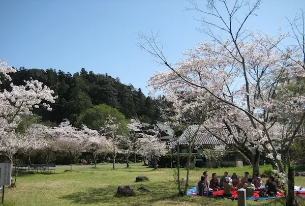青井阿蘇神社の写真・動画_image_139361