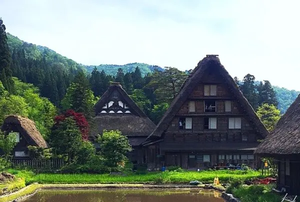 白川郷合掌造りの写真・動画_image_139695