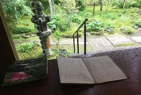 如意庵の写真・動画_image_139711