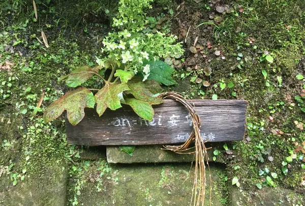 如意庵の写真・動画_image_139712