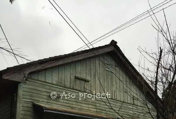 ティアンティアンの写真・動画_image_139899
