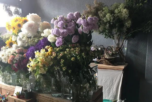 from afar（フロムアファー ）の写真・動画_image_140040