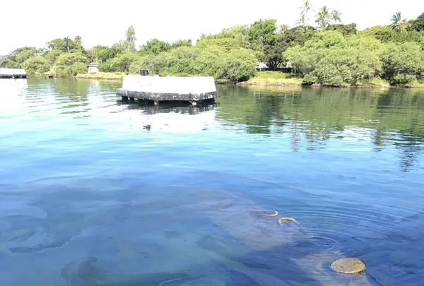 USSアリゾナ記念館の写真・動画_image_140065