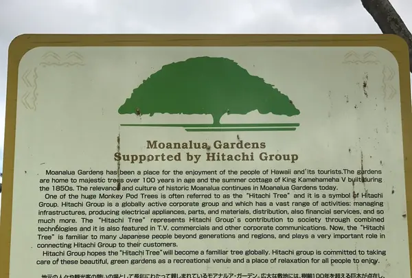 モアナルア・ガーデンズの写真・動画_image_140086