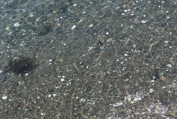 豊岡の写真・動画_image_140110