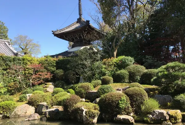 穴太寺の写真・動画_image_140126