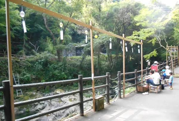 河津七滝巡りの写真・動画_image_140132