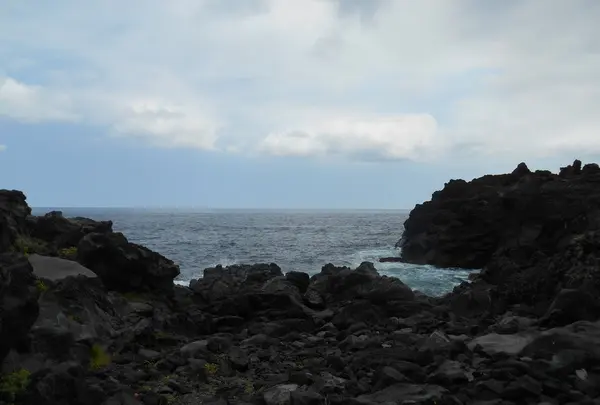 城ヶ崎海岸の写真・動画_image_140163