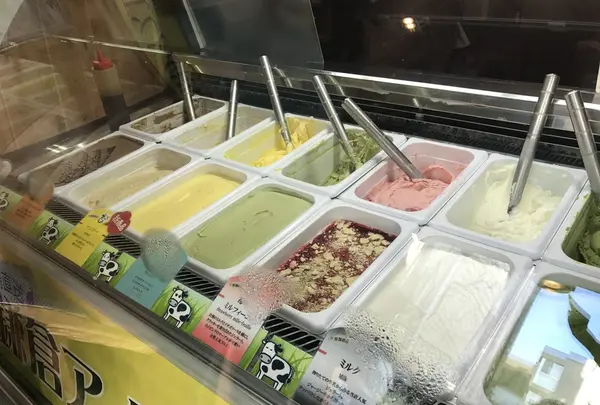 小町通りの写真・動画_image_140264