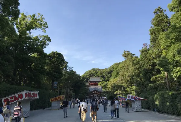 鶴岡八幡宮の写真・動画_image_140265