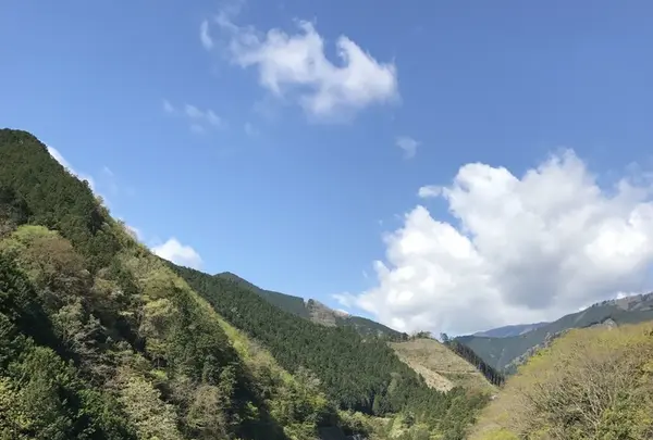 御岳山の写真・動画_image_140268