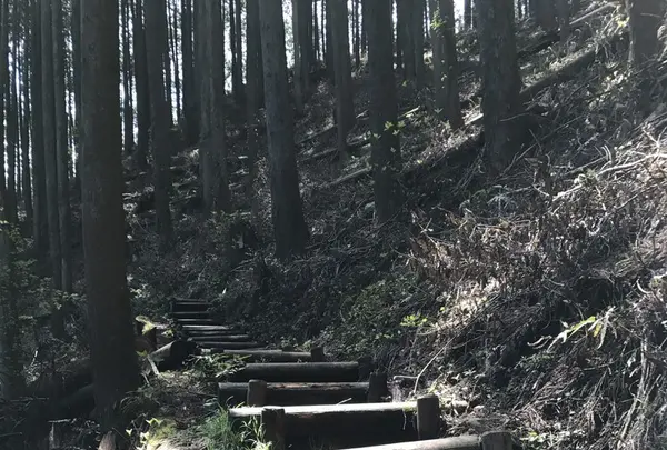 御岳山の写真・動画_image_140269