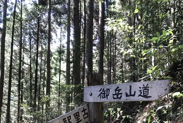 御岳山の写真・動画_image_140274