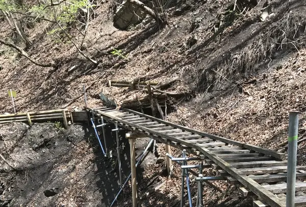 御岳山の写真・動画_image_140275