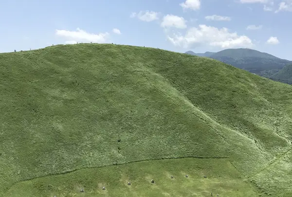 大室山の写真・動画_image_140333
