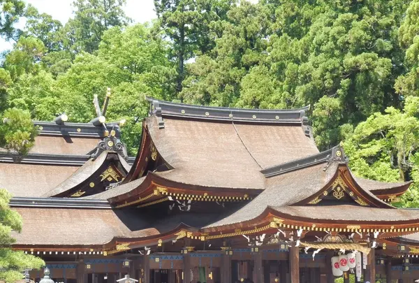 多賀大社の写真・動画_image_140422