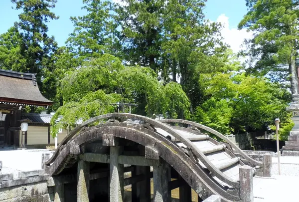 多賀大社の写真・動画_image_140424
