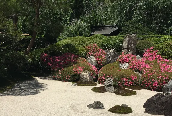 明月院（あじさい寺）の写真・動画_image_140433