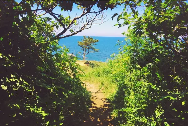 加佐の岬の写真・動画_image_140451