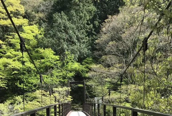 鳩ノ巣渓谷の写真・動画_image_140457