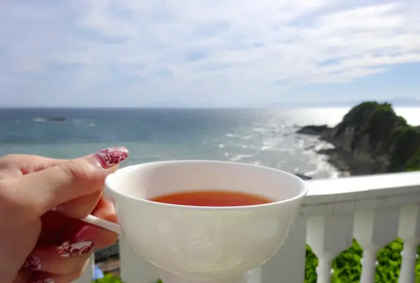 【閉業】葉山ホテル音羽ノ森 カフェテラスの写真・動画_image_140645