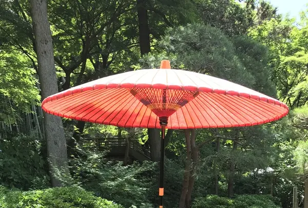 明月院 月笑軒の写真・動画_image_140840