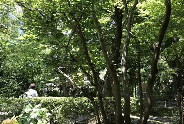 明月院 月笑軒の写真・動画_image_140841